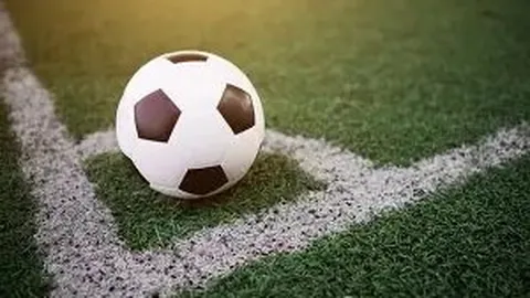 华体会体育娱乐