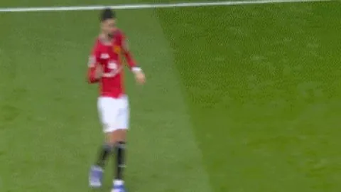 华体会体育娱乐